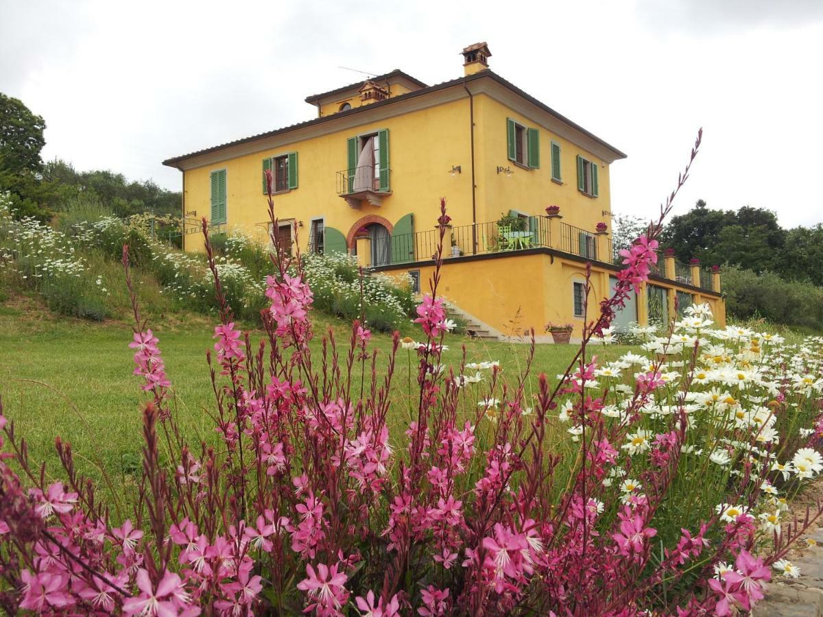Il Campano Apartment กอลโลดี ภายนอก รูปภาพ